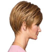 VIP Extensions Elation by Gabor Gabor Wigs