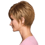 VIP Extensions Elation by Gabor Gabor Wigs
