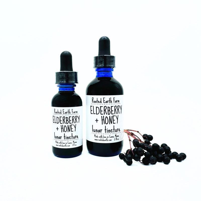 Rooted Earth Farm + Apothecary Elderberry + Honey Tincture Tinctures + Capsules