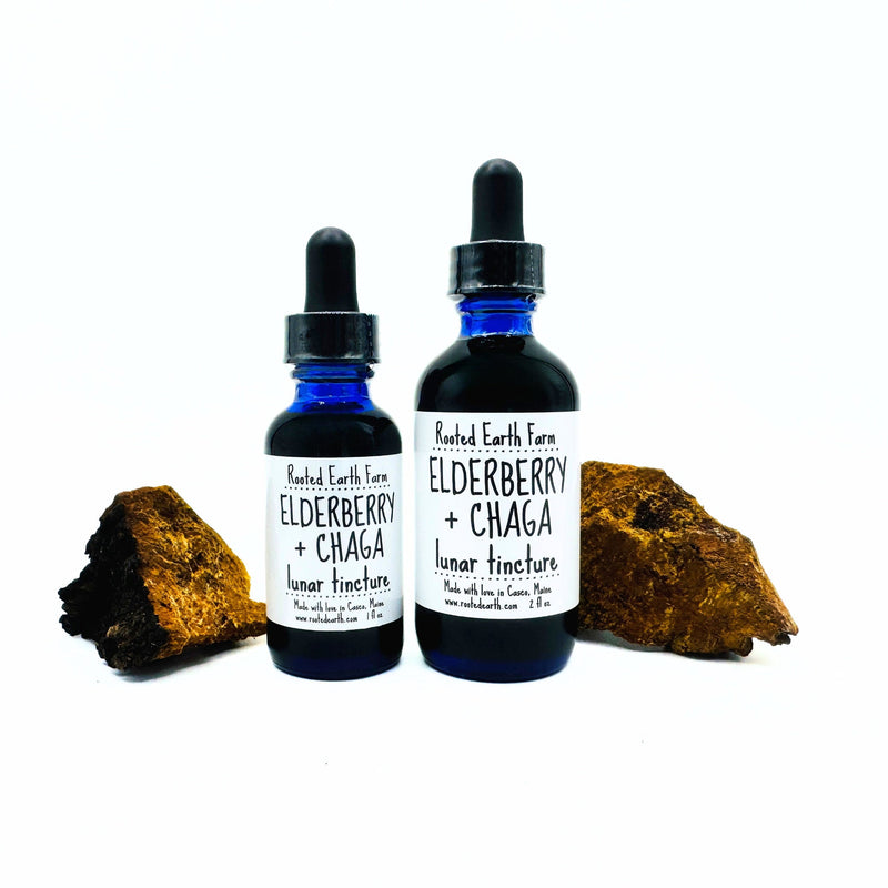 Rooted Earth Farm + Apothecary Elderberry and Chaga Tincture Tinctures + Capsules