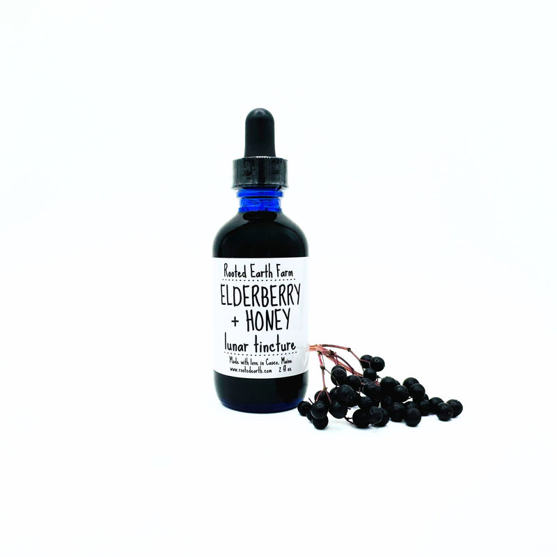 Rooted Earth Farm + Apothecary Elderberry + Honey Tincture Tinctures + Capsules