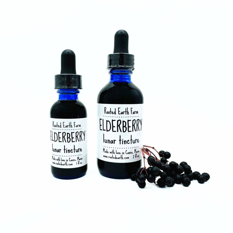 Rooted Earth Farm + Apothecary Elderberry Tincture Tinctures + Capsules