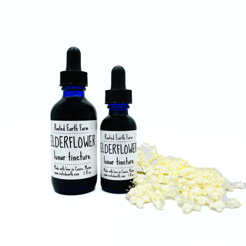 Rooted Earth Farm + Apothecary Elderflower Tincture Tinctures + Capsules