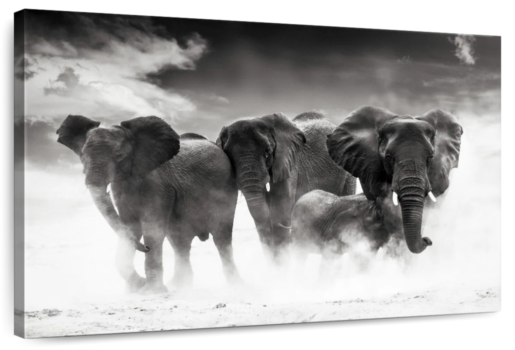 Etosha Park Elephants Wall Art