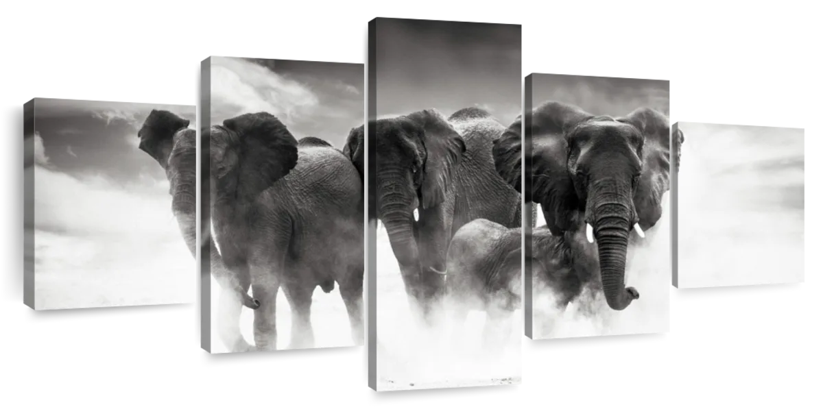 Etosha Park Elephants Wall Art