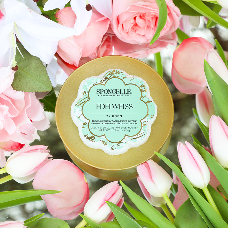Spongellé Edelweiss | Elevation Spongette Body Wash Infused Buffer