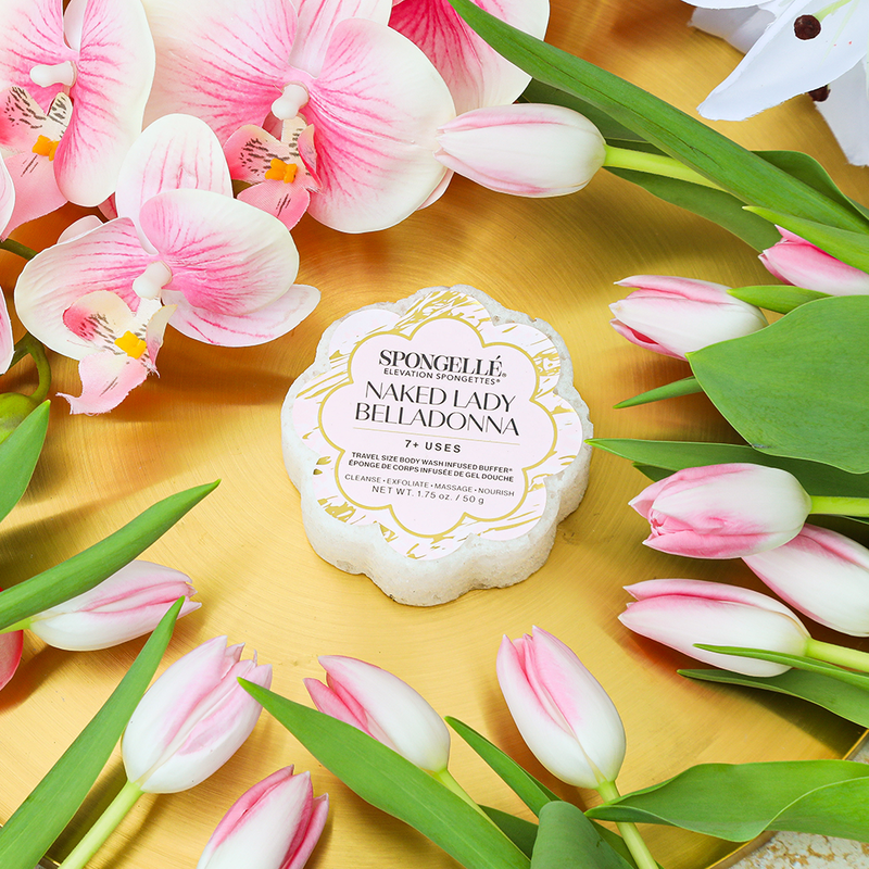 Spongellé Naked Lady Belladonna | Elevation Spongette Body Wash Infused Buffer