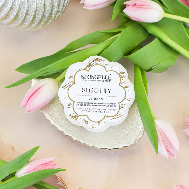 Spongellé Sego Lily | Elevation Spongette Body Wash Infused Buffer