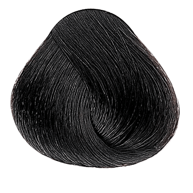 VIP Extensions EVOLUTION OF THE COLOR by Alfaparf NATURALS 2.05oz