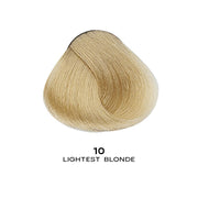 VIP Extensions EVOLUTION OF THE COLOR by Alfaparf NATURALS 2.05oz