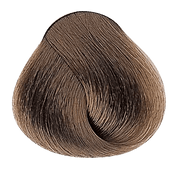 VIP Extensions EVOLUTION OF THE COLOR by Alfaparf NATURALS 2.05oz