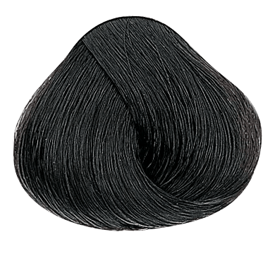VIP Extensions EVOLUTION OF THE COLOR by Alfaparf NATURALS 2.05oz Hair Care