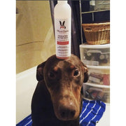 Warren London Exfoliating Butter Wash Dog Shampoo Gallons - With Natural Jojoba Beads Spa Product