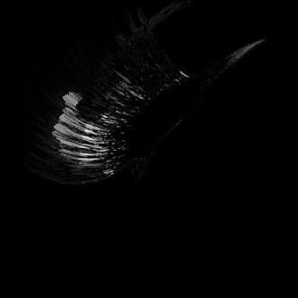 VIP Extensions Eyelashes Extension Lift