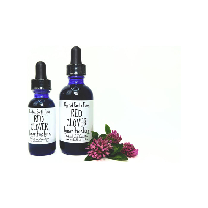 Rooted Earth Farm + Apothecary - Red Clover Tincture 1oz | 2oz