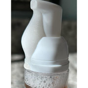 EpiLynx Gentle Foaming Facial Cleanser – Aloe, Apple & Ashwagandha for All Skin Types Face Cleanser