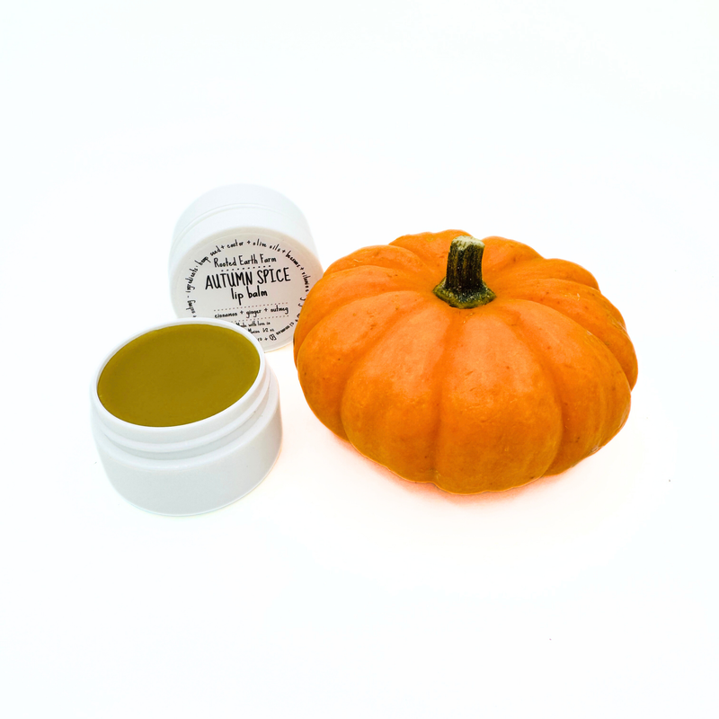 Rooted Earth Farm + Apothecary Autumn Spice Lip Balm Lip Balms + Tints