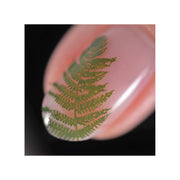 UberChic Beauty Flora & Fauna Stamping Plate