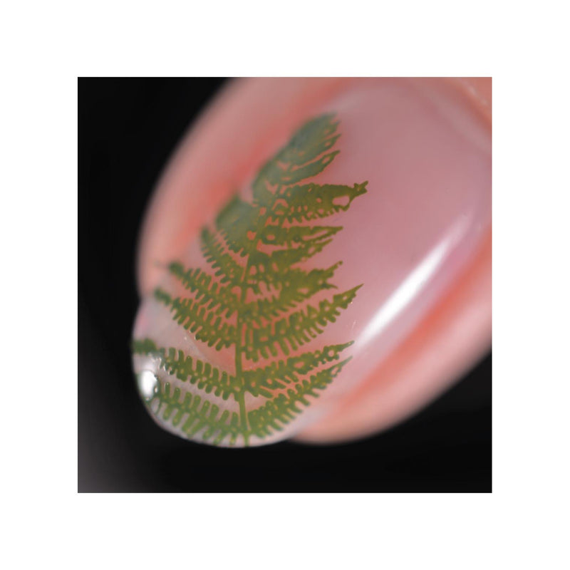 UberChic Beauty Flora & Fauna Stamping Plate