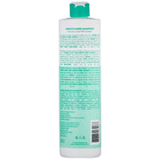 VIP Extensions Framesi Color Lover Smooth Shine Shampoo, Sulfate Free Shampoo with Quinoa and Aloe Vera, Color Treated Hair  33.8 Oz Hair Care