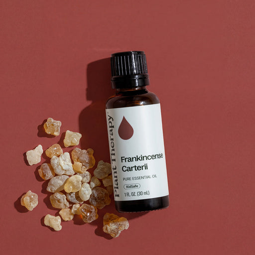 Plant Therapy Frankincense Carterii Essential Oil Essential Oil