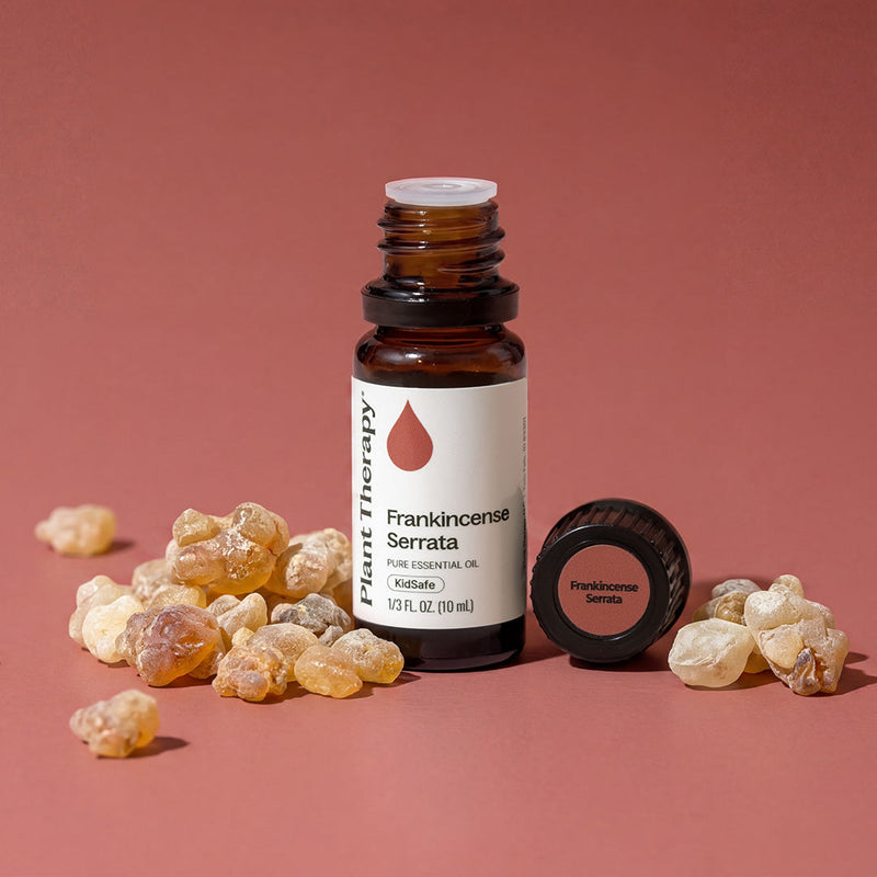 Plant Therapy Frankincense Serrata Essential Oil Essential Oil