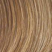 VIP Extensions Fringe Top of Head - By Hairdo Accessories