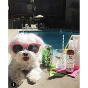 Warren London Dog Sunscreen With Aloe Vera Moisturizer Spa Product