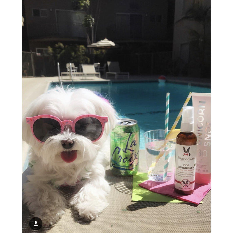 Warren London Dog Sunscreen With Aloe Vera Moisturizer Spa Product