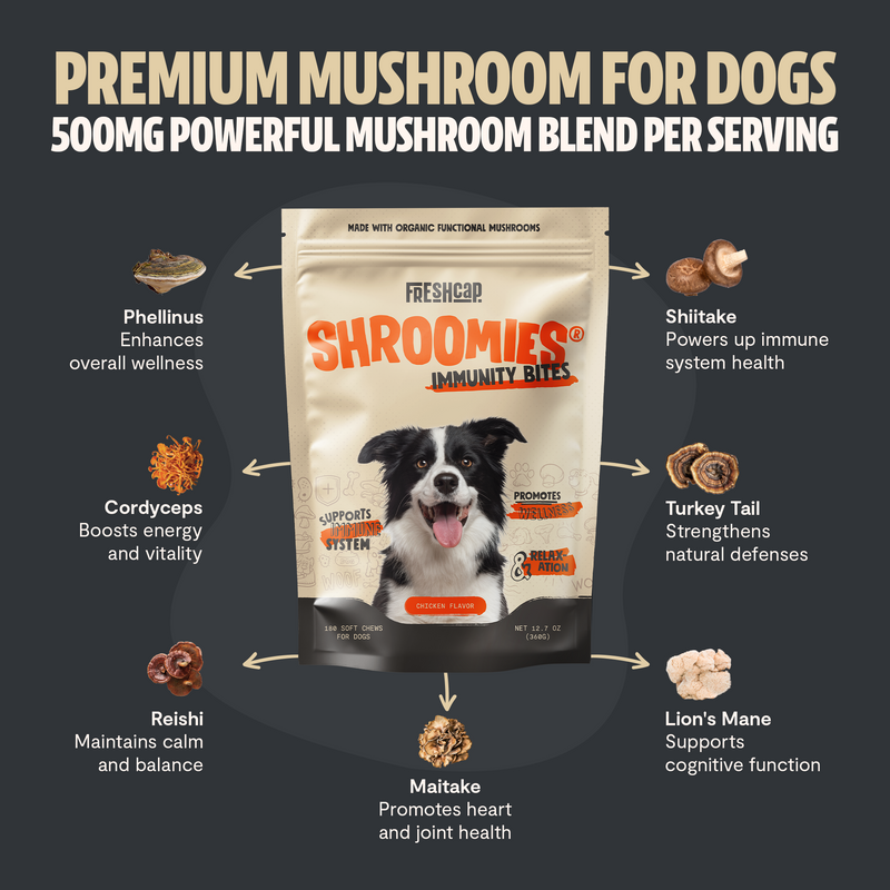 FreshCap Mushrooms Organic Mushroom Complex for Dogs Pet Treats