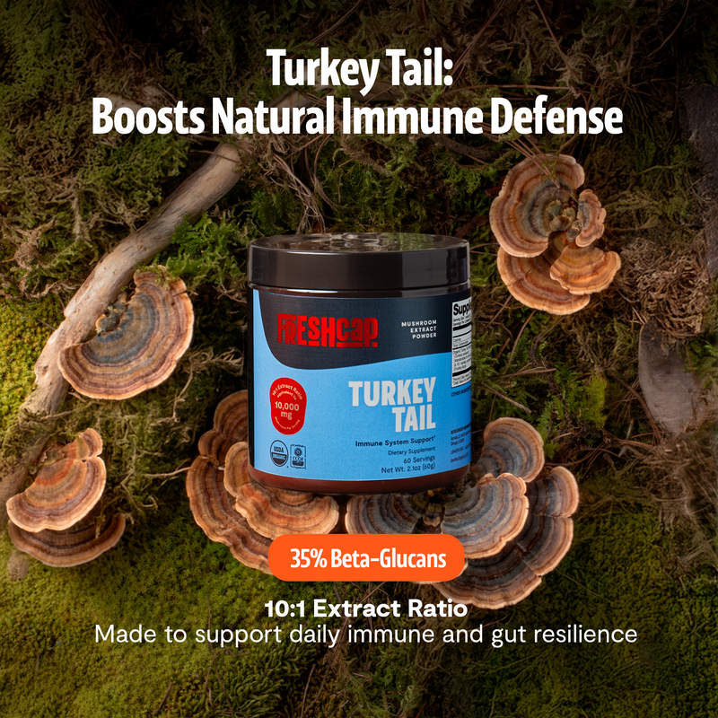 FreshCap Mushrooms Organic Turkey Tail Mushroom Powder Powder