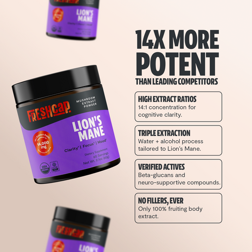 FreshCap Mushrooms Organic Lion’s Mane Mushroom Powder Powder