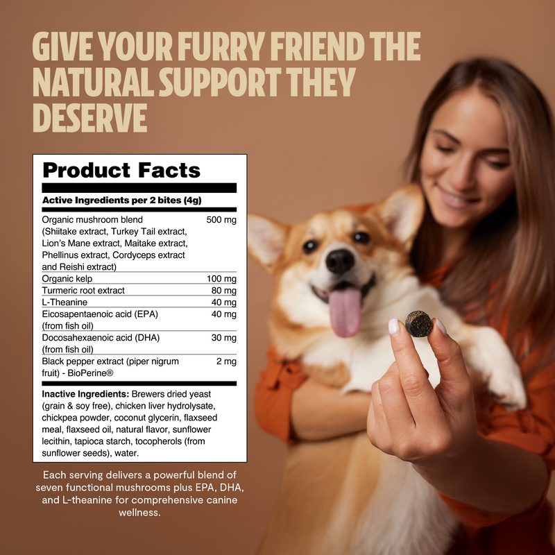 FreshCap Mushrooms Organic Mushroom Complex for Dogs Pet Treats
