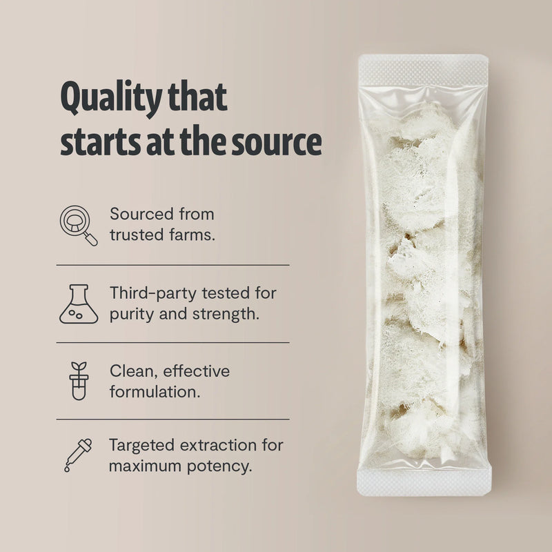 FreshCap Mushrooms Organic Lion’s Mane Mushroom Powder Powder