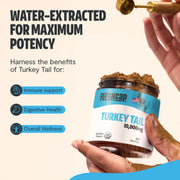 FreshCap Mushrooms Organic Turkey Tail Mushroom Powder Powder
