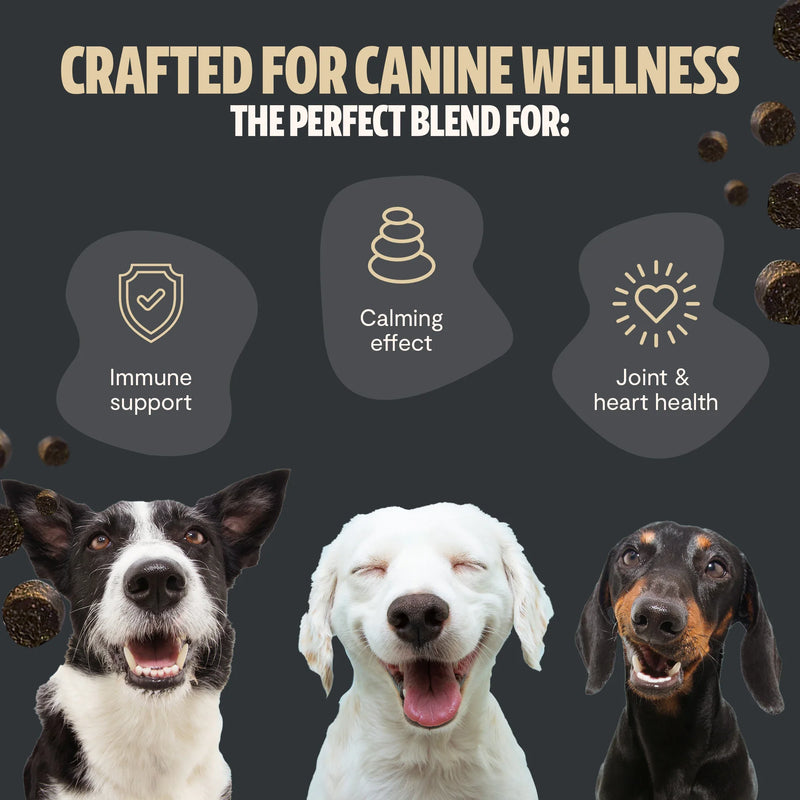 FreshCap Mushrooms Organic Mushroom Complex for Dogs Pet Treats