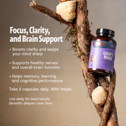 FreshCap Mushrooms Organic Lion’s Mane Capsules Capsules