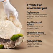 FreshCap Mushrooms Organic Lion’s Mane Mushroom Powder Powder