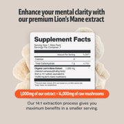 FreshCap Mushrooms Organic Lion’s Mane Mushroom Powder Powder