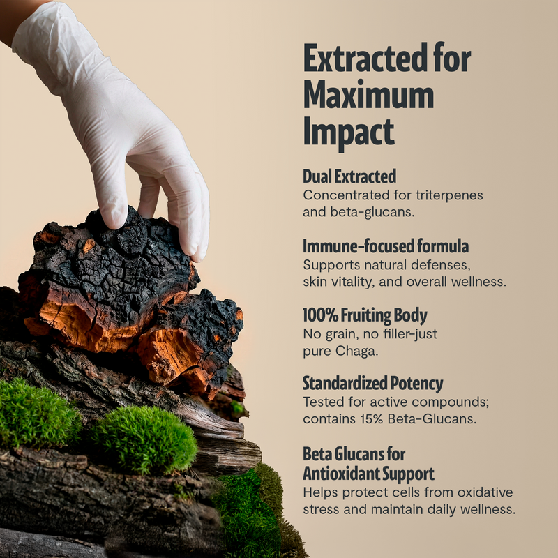 FreshCap Mushrooms Chaga Mushroom Extract Capsules Capsules