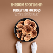 FreshCap Mushrooms Organic Mushroom Complex for Dogs Pet Treats