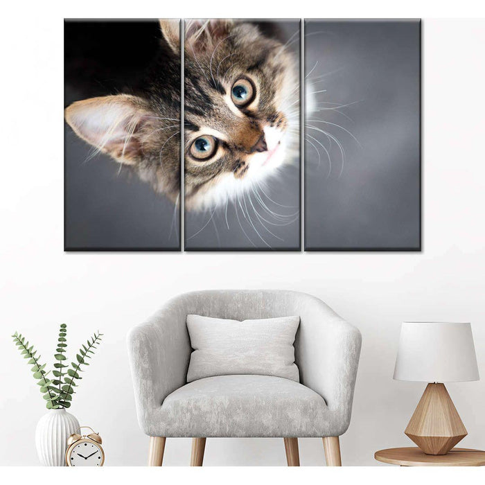 A Cat Wall Art