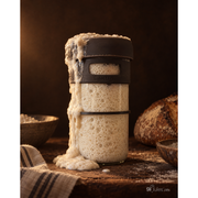 gfJules Gluten-Free Sourdough & Baking Flour | gfJules Black Pack of 1,Pack of 4,Case of 12