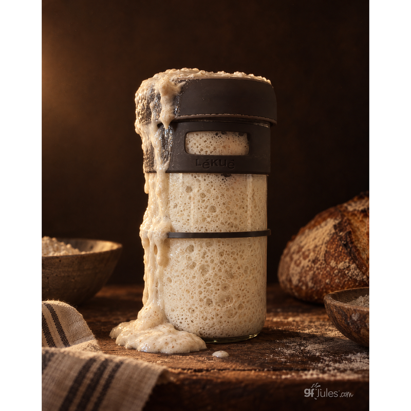 gfJules Gluten-Free Sourdough & Baking Flour | gfJules Black Pack of 1,Pack of 4,Case of 12