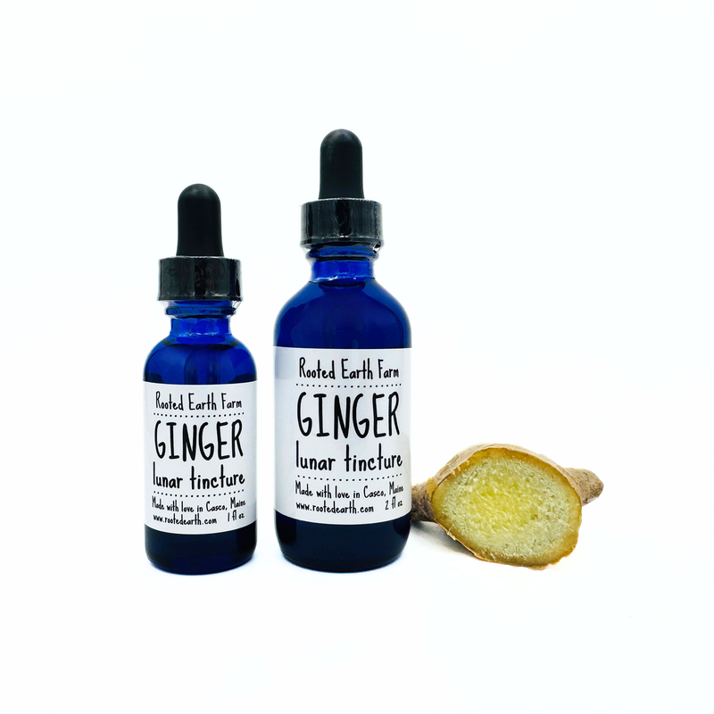 Rooted Earth Farm + Apothecary Ginger Tincture Tinctures + Capsules