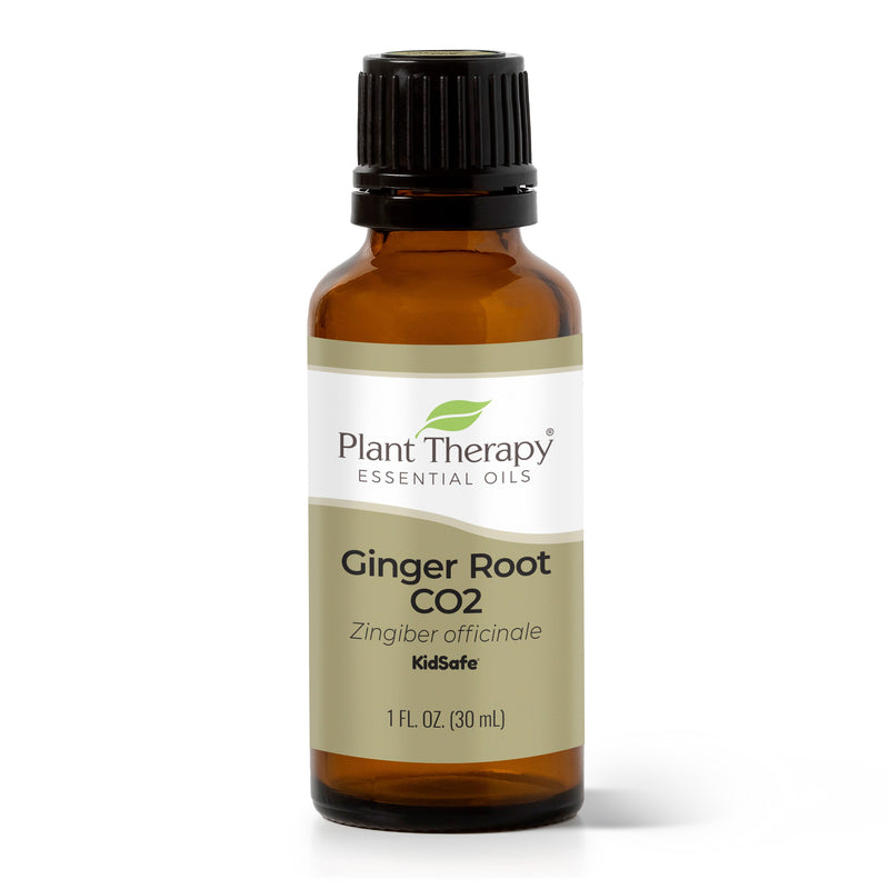 Plant Therapy Ginger Root CO2 Extract Essential Oil