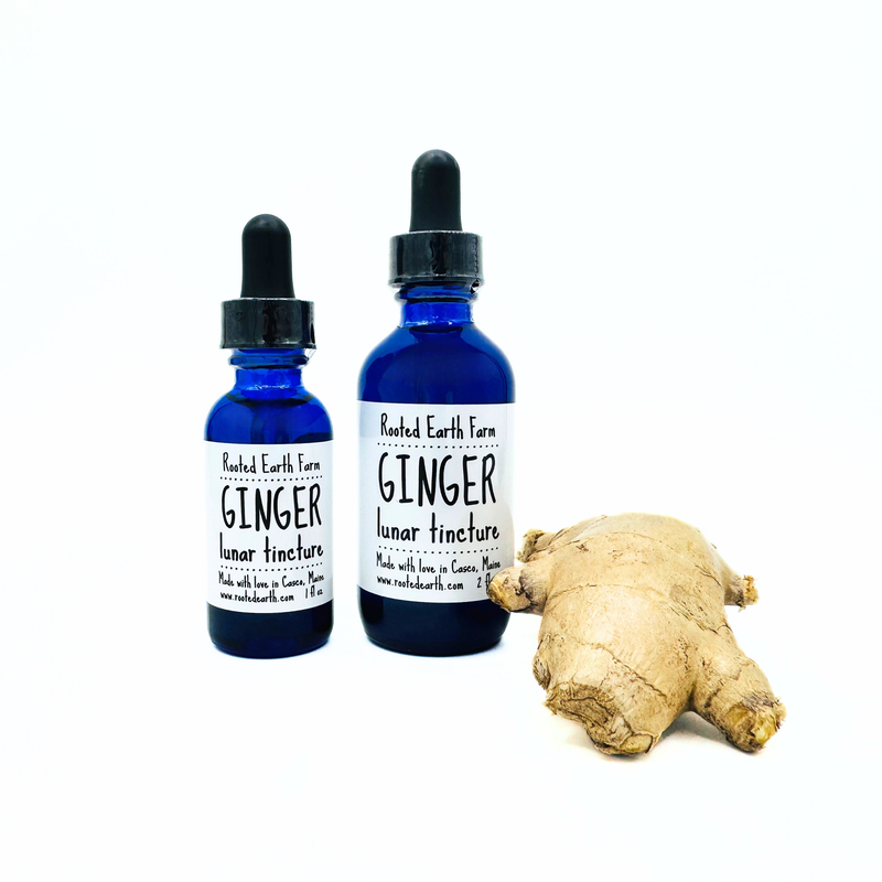 Rooted Earth Farm + Apothecary Ginger Tincture Tinctures + Capsules