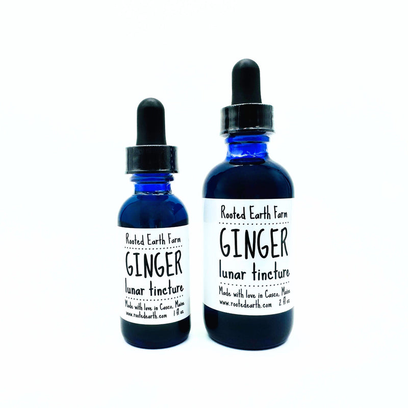 Rooted Earth Farm + Apothecary Ginger Tincture Tinctures + Capsules