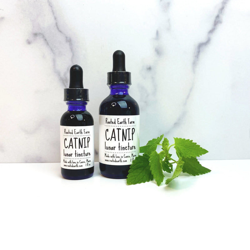 Rooted Earth Farm + Apothecary Catnip Tincture Tinctures + Capsules