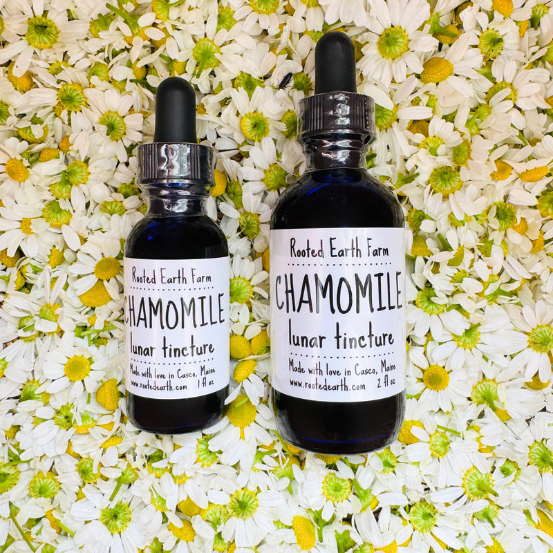 Rooted Earth Farm + Apothecary Chamomile Tincture Tinctures + Capsules